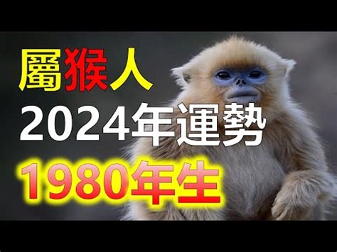 1980屬猴幸運色2023|【1980猴】1980猴命運解讀！五行屬性與2023年運勢全攻略